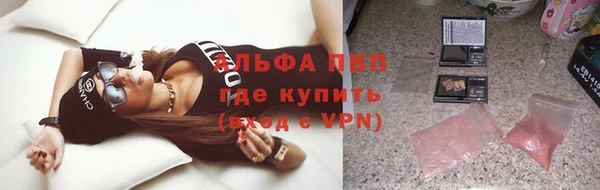 прущие грибы Бугульма