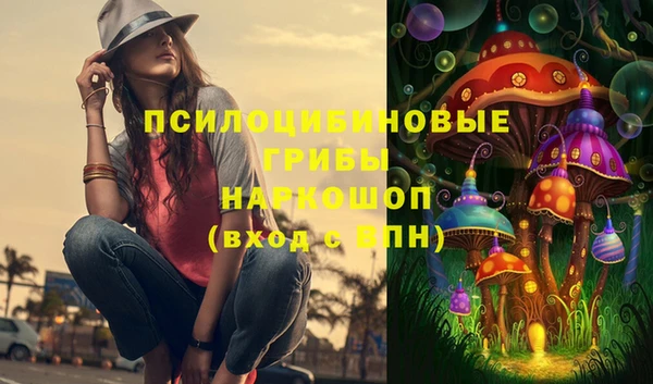 винт Богородицк