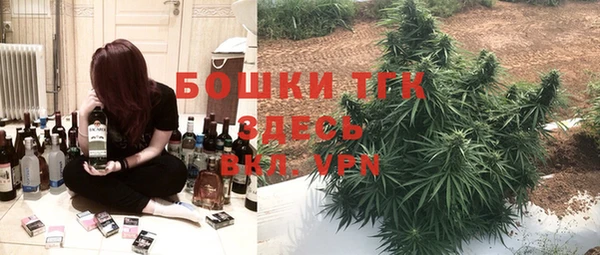 молекула духа Богородск