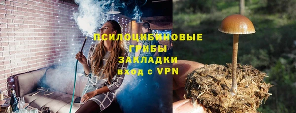 винт Богородицк