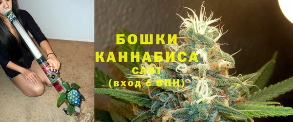 молекула духа Богородск