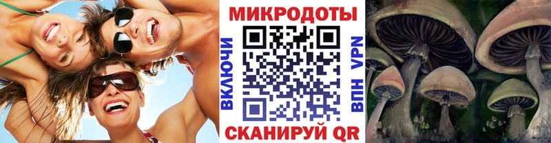 Купить закладки  Ардатов  Псилоцибиновые грибы мицелий 